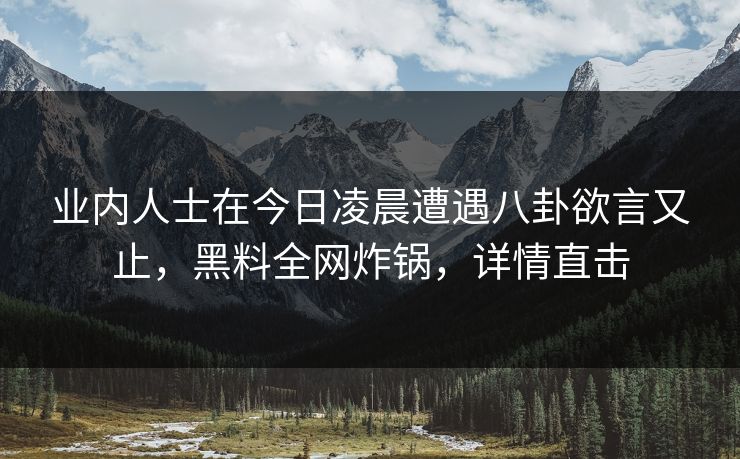 业内人士在今日凌晨遭遇八卦欲言又止，黑料全网炸锅，详情直击