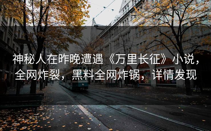 神秘人在昨晚遭遇《万里长征》小说，全网炸裂，黑料全网炸锅，详情发现