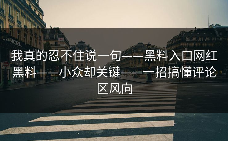 我真的忍不住说一句——黑料入口网红黑料——小众却关键——一招搞懂评论区风向
